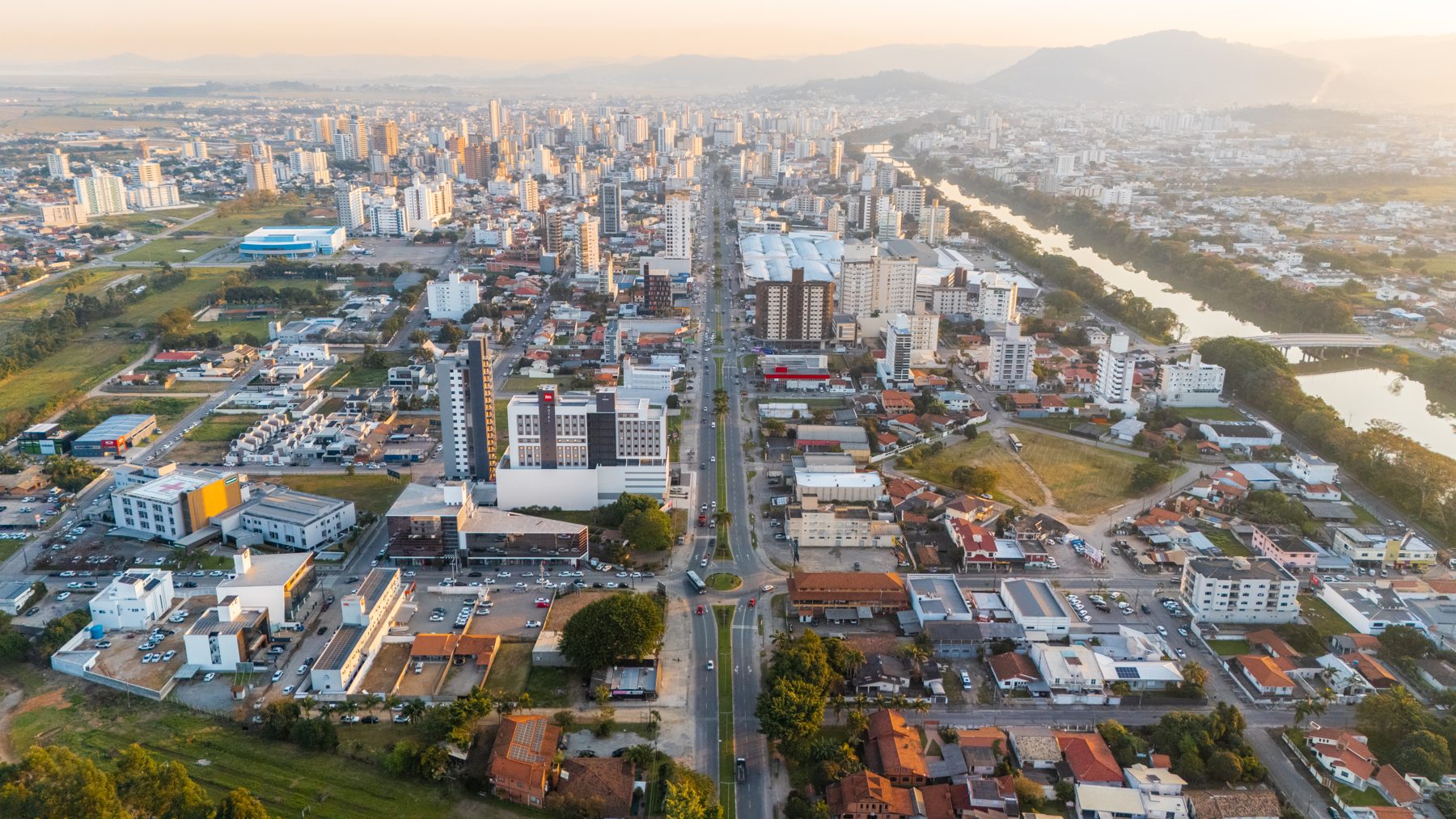 Tubarão vista de cima